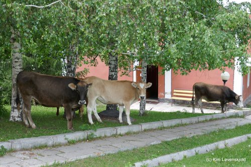 Kashka-Suu