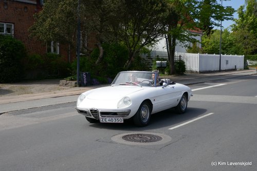 1966' Alfa Romeo Spider