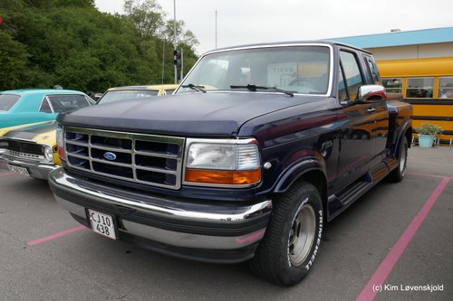 1995' Ford F150