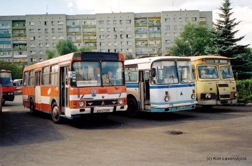 LAZ 4202, LAZ 695 & LiAZ 677