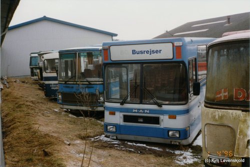 Various odd buses