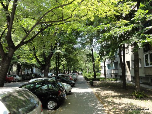 Novi Sad