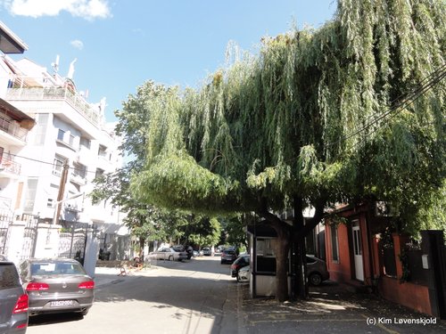 Skopje