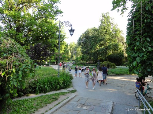 Novi Sad