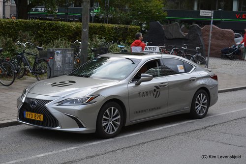 2019' Lexus ES300h