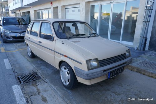 Austin Metro 1,0
