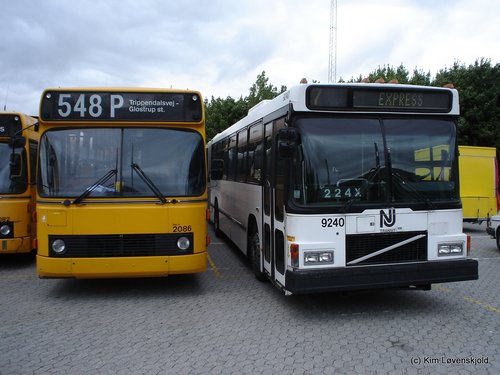 1988' Volvo B10M-60 DAB & 1986' Volvo B10MA-55 "Chesapeake"