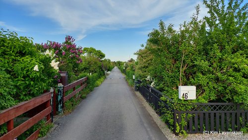Allotment gardens