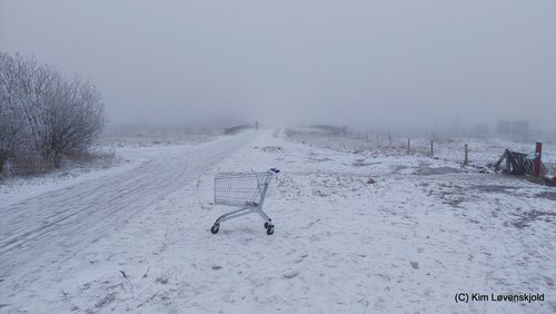 Foggy winterday at Kalvebod Fælled