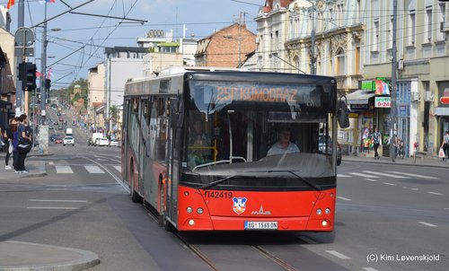2019' MAZ 203