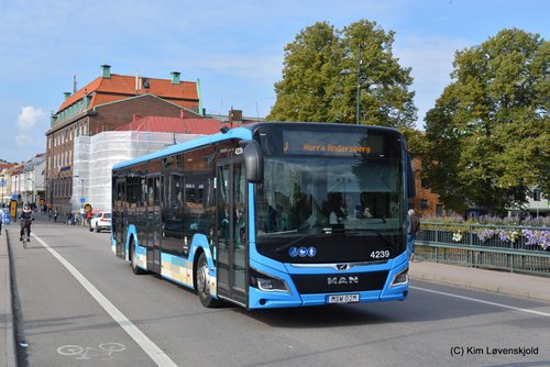 2020' MAN Lion's City 12C