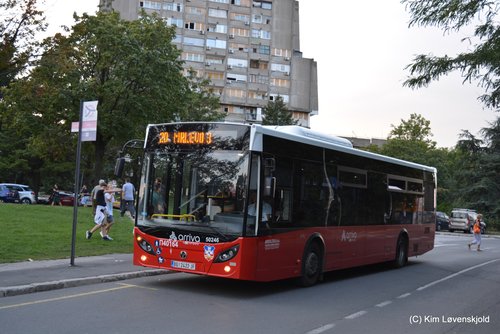 2022' Temsa Avenue LF 12