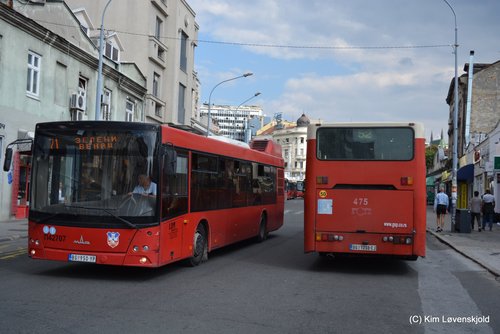 2016' MAZ 203 & 2003' Ikarbus IK 103
