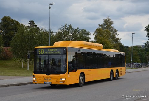 2011' MAN NL313 Lion's City CNG