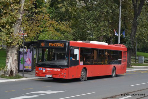 2018' MAZ 203