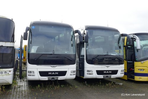 MAN Lion's Coach