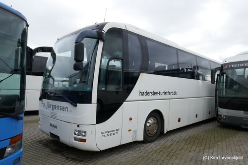 MAN Lion's Coach