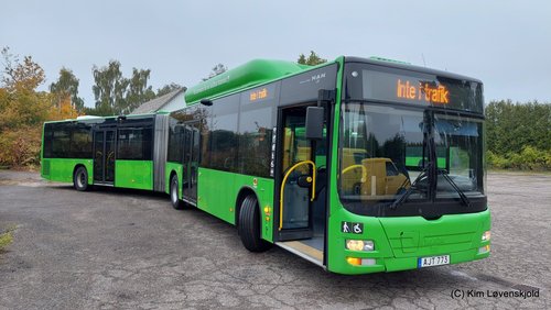 2009' MAN NL313 Lion's City G CNG