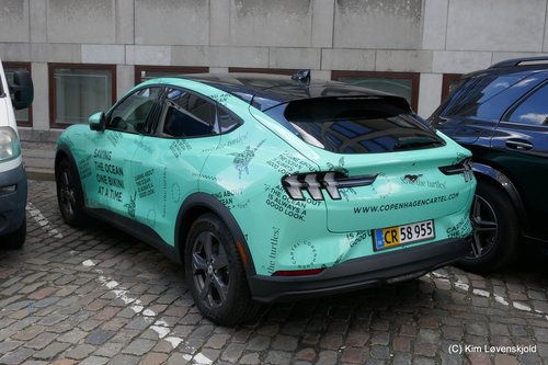 2021' Ford Mustang Mach-e Van