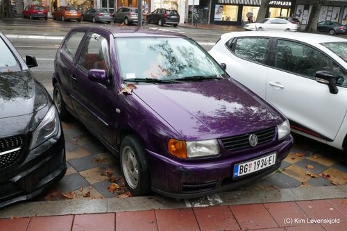 VW Polo