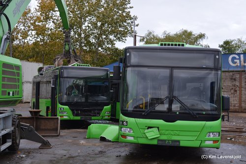 2009' & 2011' MAN NG313 Lion's City CNG