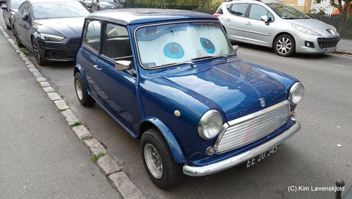 1976' Morris Mascot