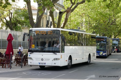 Mercedes Intouro