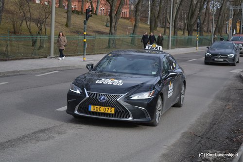2021' Lexus ES300h