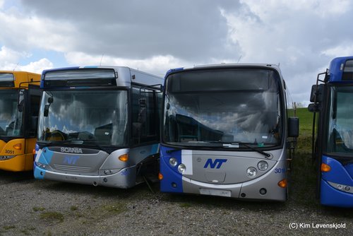 DSC23_(1065)