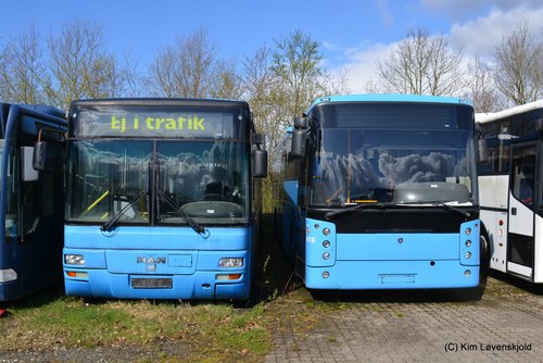 MAN Lion's City T & 2005' Scania K114IB Vest Contrast