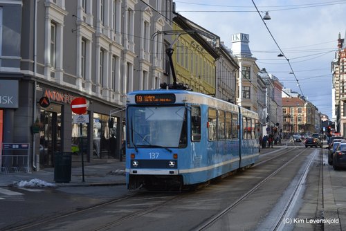 DSC23_(93)