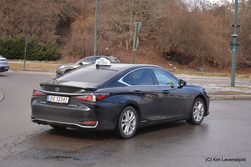 2022' Lexus ES300h