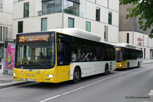 MAN Lion's City NL313 CNG