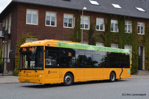 2022' Golden Dragon Pivot E12