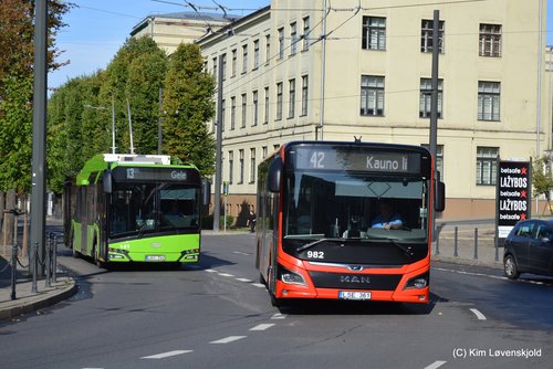 Solaris Trollino 12 & 2021' MAN 12C Lion's City NL330 Hybrid