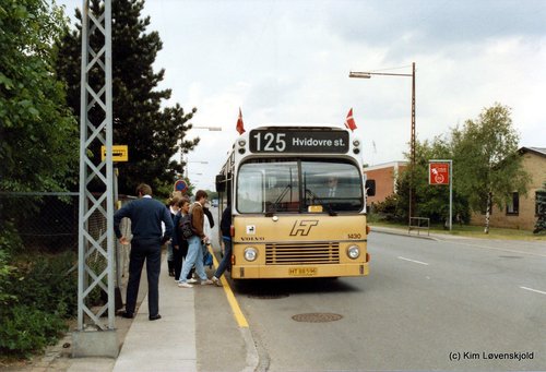 1981' Volvo B10M-60 Aabenraa