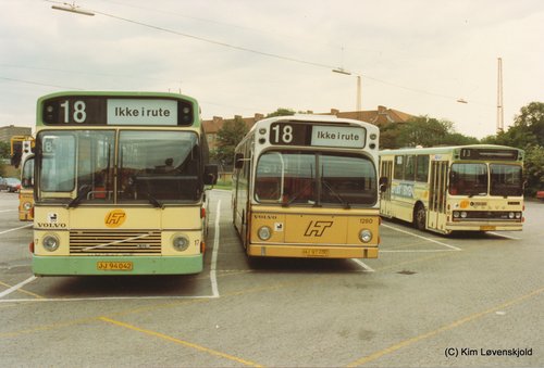 1983' Volvo B10M-60 Aabenraa & 1980' Volvo B10R-59 Aabenraa & 1981' Volvo B10M-60 VBK 50