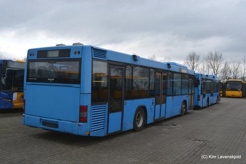MAN Lion's City T
