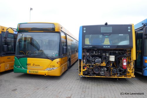 2012' Scania CK280UB OmniLink & 2014' MAN NL313 CNG Lion's City C LE