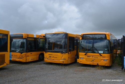 DSC_2024 (1241)