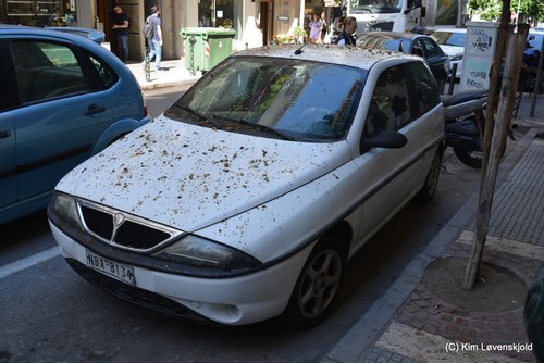 Lancia Ypsilon
