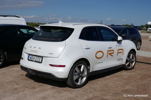 2023' ORA Funky Cat