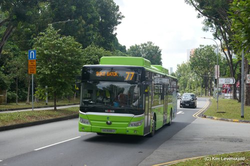 2020' Yutong E12LF (ZK6128BEVG)