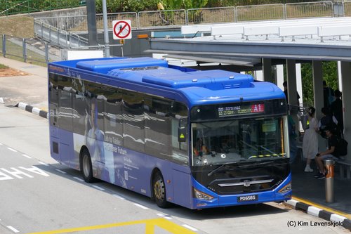 2022' Zhongtong LCK6126EVG