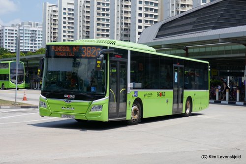 2019' MAN NL323F Lion's City Gemilang
