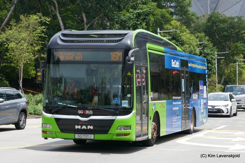 2016' MAN NL323F Lion's City Gemilang