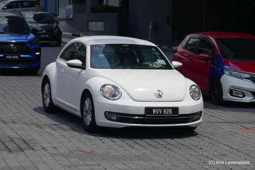 VW Beetle