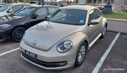 VW Beetle