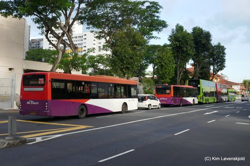 Singapore bus pileup