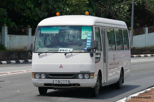 Mitsubishi Fuso Rosa